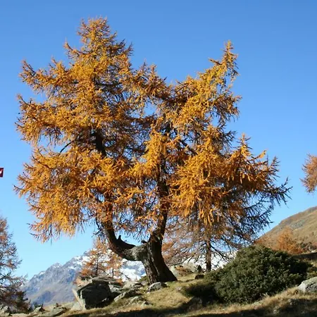 Croce Bianca Poschiavo