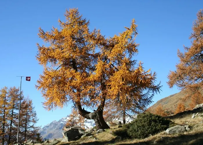 & Croce Bianca Poschiavo